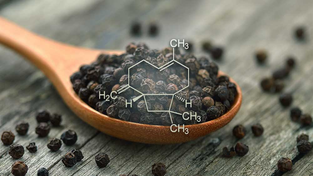 Caryophyllene in cannabis